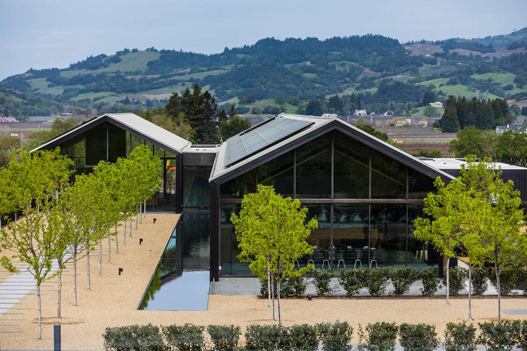 Silver oak clearance vineyard